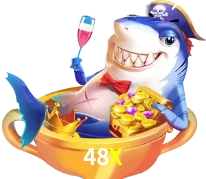 48X